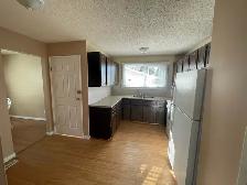 Clean & bright main floor furnished private BR for rent in SE - Photo 5
