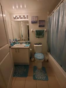 Private Room for One Professional Lady - Photo 4