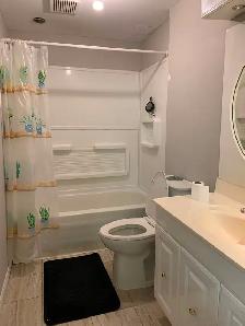 One BR available in 2 BR basement Eglington/Kennedy Mississauga - Photo 7