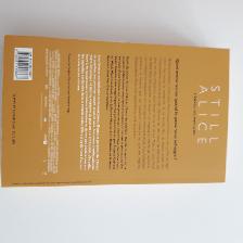 BON ROMAN NEUF DE LISA GÉNOVA L'ENVOL DU PAPILLON 357 PAG $5.00 - Photo 2