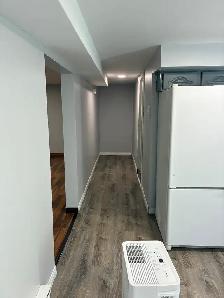 1 Bedroom Basement Legal Apartment - Photo 5