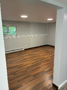 1 Bedroom Basement Legal Apartment - Photo 6