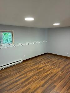 1 Bedroom Basement Legal Apartment - Photo 7