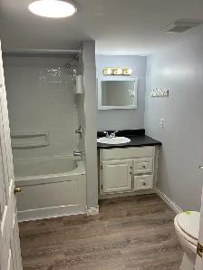 1 Bedroom Basement Legal Apartment - Photo 8