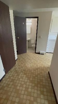 Available October 1. 2 bedroom 1 bathroom basement in Beddington - Photo 5