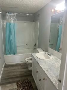 2 bedroom legal basement in Temple NE - Photo 4