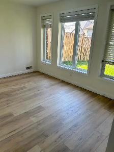 Legal Walkout Basement Apartment - Photo 5