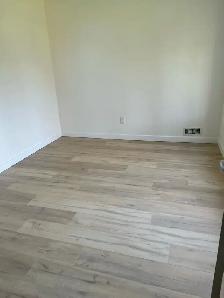 Legal Walkout Basement Apartment - Photo 7