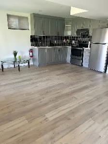 Legal Walkout Basement Apartment - Photo 8