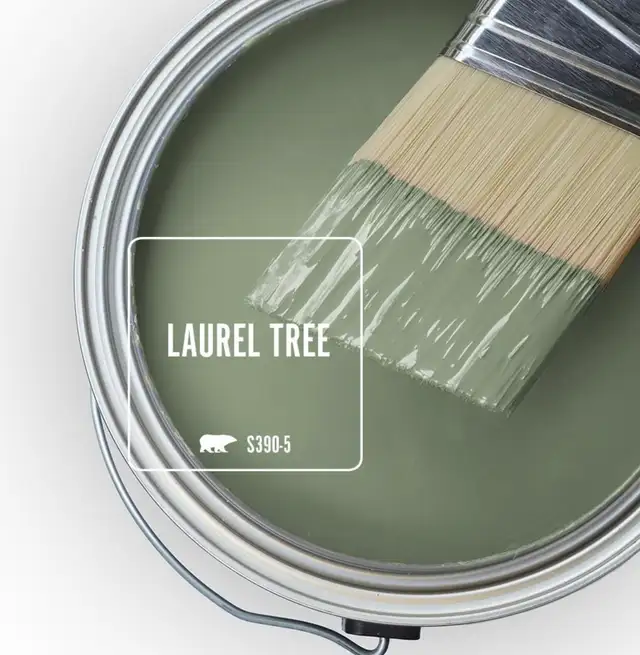 Behr paint - Laurel Tree