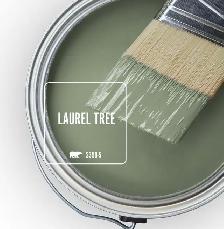 Behr paint - Laurel Tree