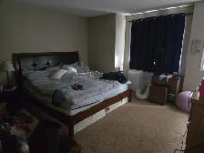 3 Bedrooms House For Rent - Photo 5