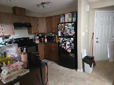 3 Bedrooms House For Rent - Photo 6