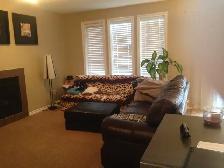 3 Bedrooms House For Rent - Photo 11