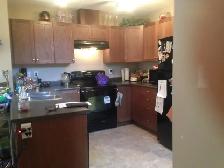 3 Bedrooms House For Rent - Photo 12