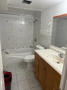 Two bedroom basement available for rent from September 1 - Photo 3