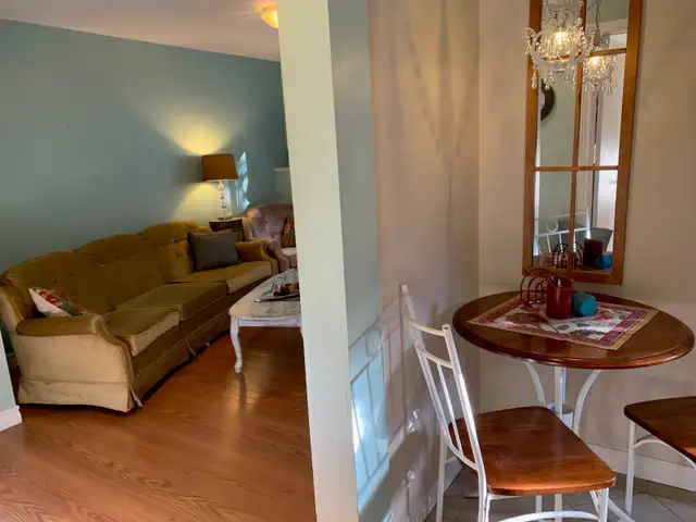 Furnished Heat Lights Internet Parking Downtown Apt. Sept 1!