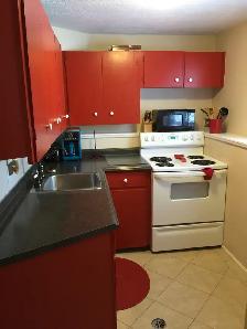 Furnished Heat Lights Internet Parking Downtown Apt. Sept 1! - Photo 4