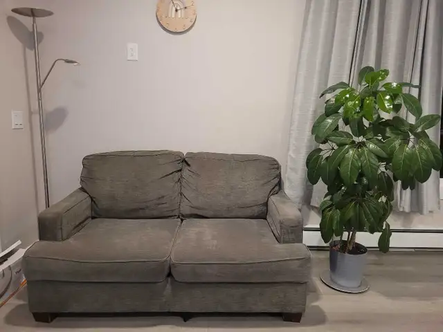 2 SEATER COUCH - VERY COMFORTABLE