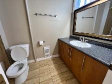 Appartement 3 1/2 à louer à Hull , 1 septembre - Photo 8