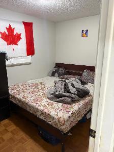1 bedroom walk in  basement Brampton downtown