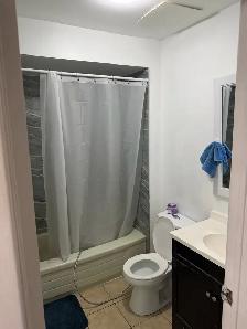 1 bedroom walk in  basement Brampton downtown - Photo 3