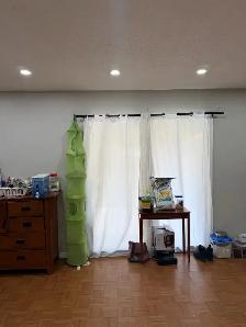 1 bedroom walk in  basement Brampton downtown - Photo 6