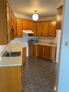 Lease Transfer – 4½ Apartment in Ste-Anne-de-Bellevue (Fall 26) - Photo 3