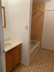 Lease Transfer – 4½ Apartment in Ste-Anne-de-Bellevue (Fall 26) - Photo 6