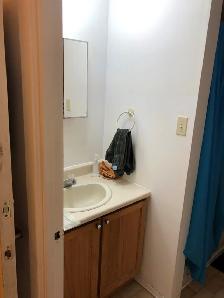 Lease Transfer – 4½ Apartment in Ste-Anne-de-Bellevue (Fall 26) - Photo 7