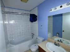 Falconridge full whole house 3 bedroom ,den $1950/m ut - Photo 8
