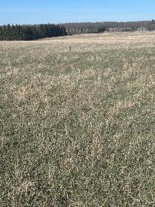 Land for sale - Photo 2