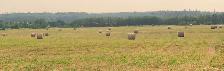 Land for sale - Photo 5