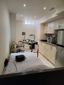Bachelor Studio Apartment Rental, Caledon, Ontario - Photo 3