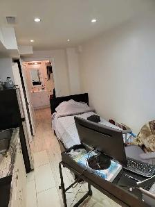 Bachelor Studio Apartment Rental, Caledon, Ontario - Photo 4