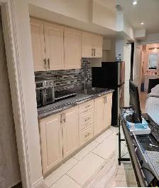 Bachelor Studio Apartment Rental, Caledon, Ontario - Photo 5