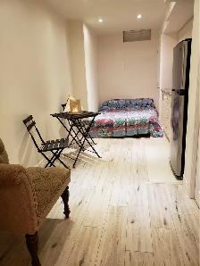 Bachelor Studio Apartment Rental, Caledon, Ontario - Photo 6