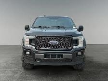 2024 Ford F-150 XLT / 4WD - Photo 10