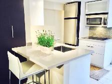 Renovated One Bedroom Basement Apartment in Leslieville - Photo 3