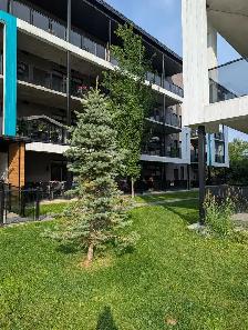 Appartement à louerCessation de bail - Photo 7