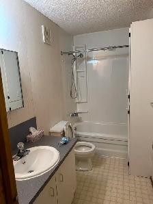 Apartment for rent in Town of Morris - Photo 2