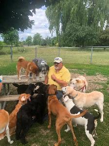 Pro Dog Walking – 10  Years Experience – Etobicoke & Mississauga