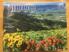 Casse-têtes (10 CT), 1000 pièces – (VI) - Photo 3