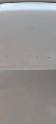 Vehicles - Photo 2
