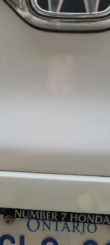 Vehicles - Photo 5