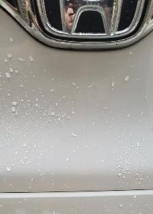 Vehicles - Photo 7