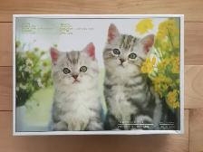 Casse-têtes / Puzzles (10 CT), 1000 pièces (no10) - Photo 5