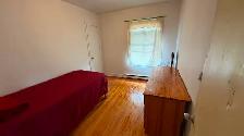 One bed room for rent in Montreal
