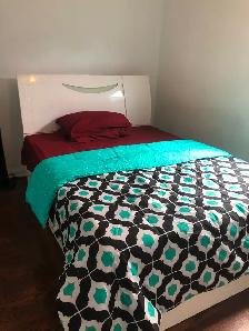 Main Floor Unit 4 Rooms Bungalow House in Scarborough for Rent - Photo 2