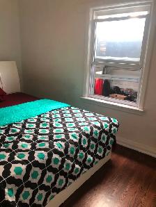Main Floor Unit 4 Rooms Bungalow House in Scarborough for Rent - Photo 3